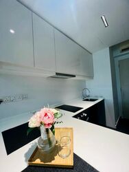 The Minton (D19), Condominium #482322381